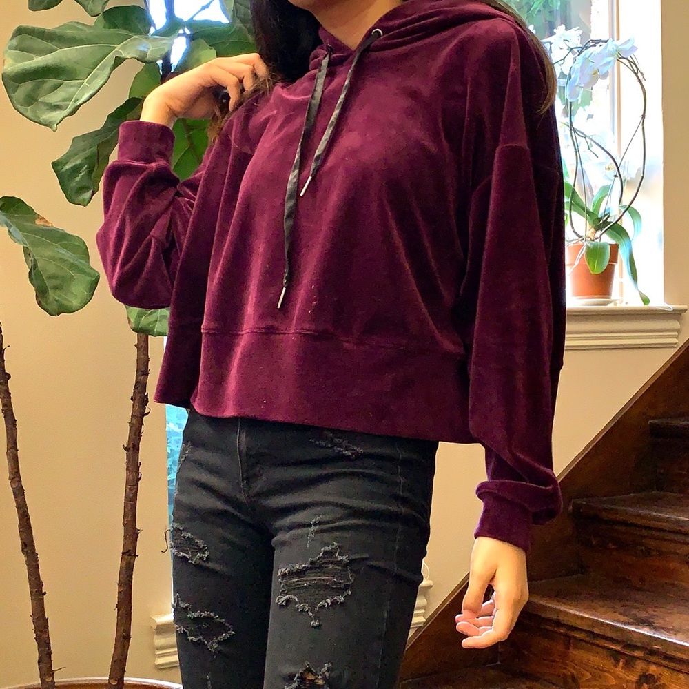 Velvet Philosophy Cropped Hoodie